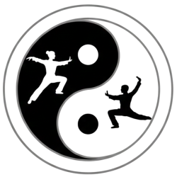 YinYango Taichienvivo